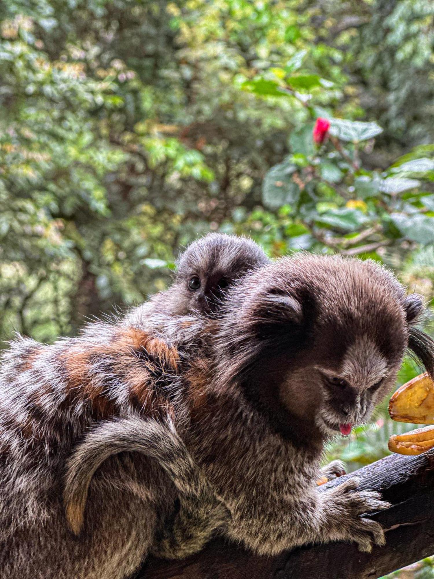 Pousada Da Fonte レンソイス エクステリア 写真